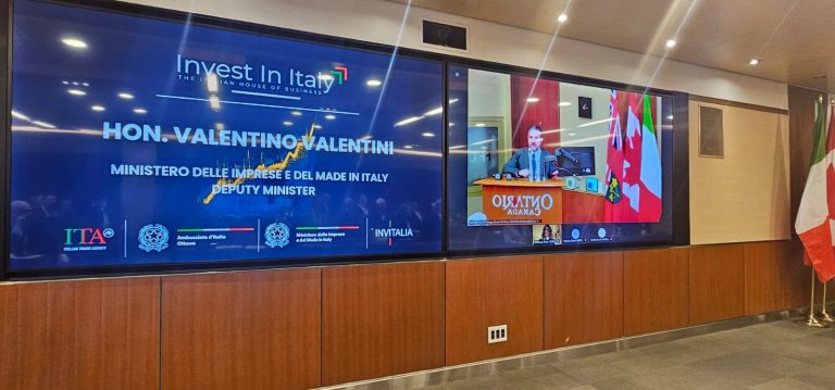 34dd5317-df79-4b84-83b6-9f248b5db616